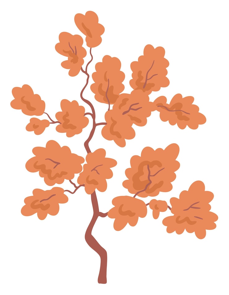 Vector a young tree or bush with foliage