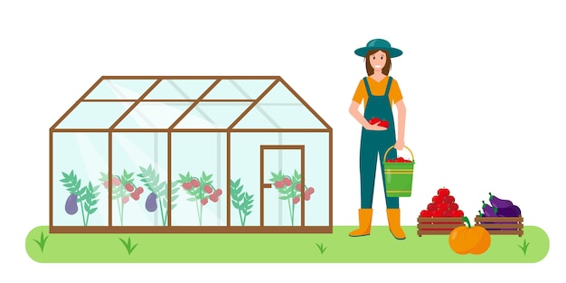 Vector young woman with vegetables near greenhouse in the garden