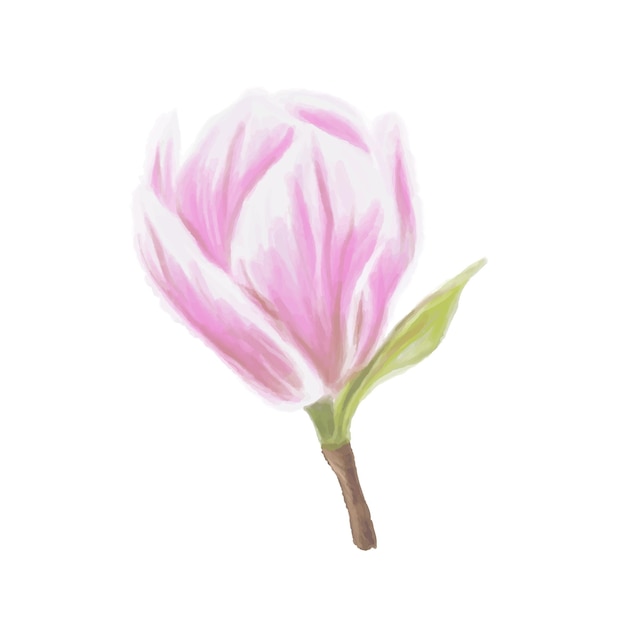 Zachtjes aquarel roze bloem magnolia