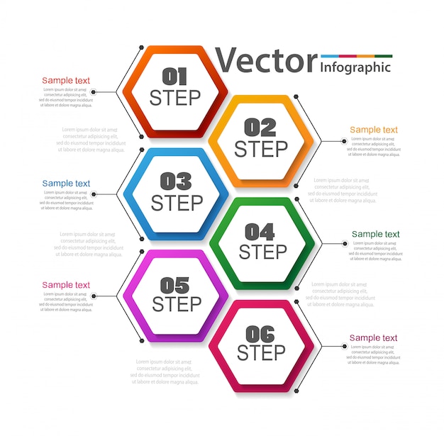 Zakelijke infographic met 6 stappen