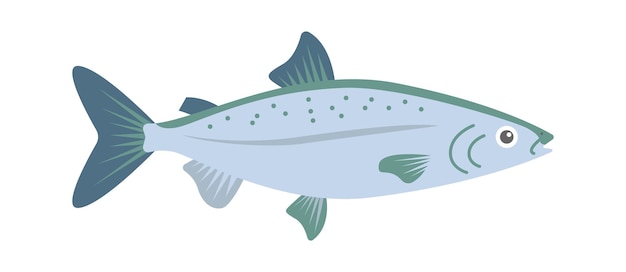 Zalm Zeevis Vectorillustratie