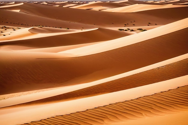 Vector zandduinen woestijn