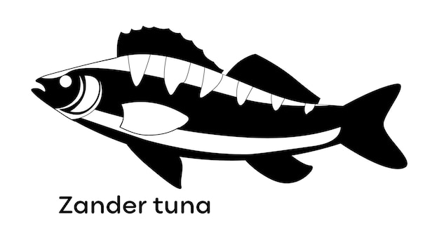 Vector zander tuna fish silhouette