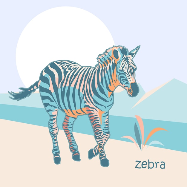 zebra animal ilustration colour