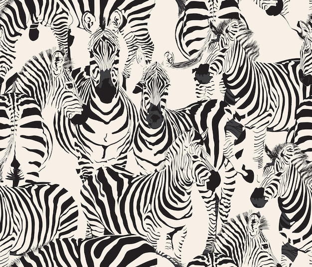 Zebra Animal Wildlife Safari Seamless Pattern Background Texture Beautiful Hand draw Zebra Vector