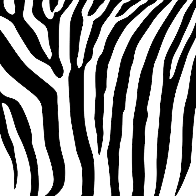 Черно-белый узор зебры Черные полосы на белом фоне