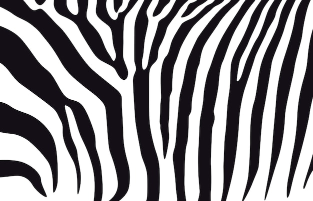 Vettore zebra motivo bianco nero strisce nere su sfondo biancozebra di texture della giungla animale a strisce