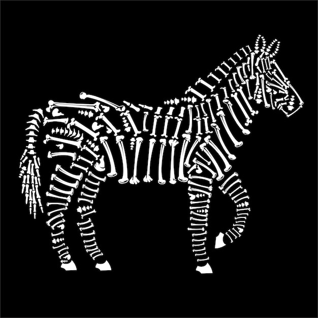 Vector zebra bones