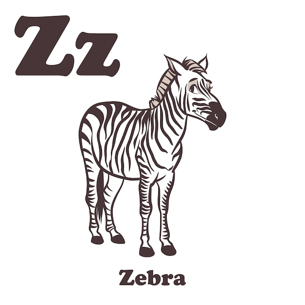 Vettore personaggio animato zebra per bambini