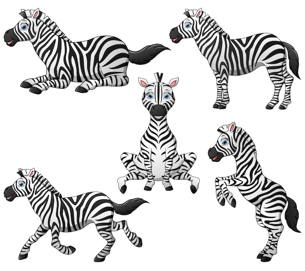 Коллекция коллекции мультфильмов Zebra