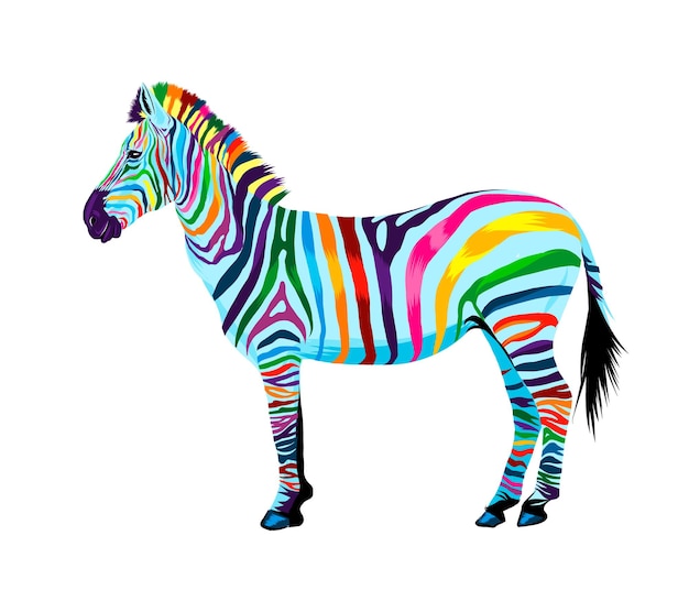 Zebra da vernici multicolori spruzzata di disegno colorato ad acquerello realistico