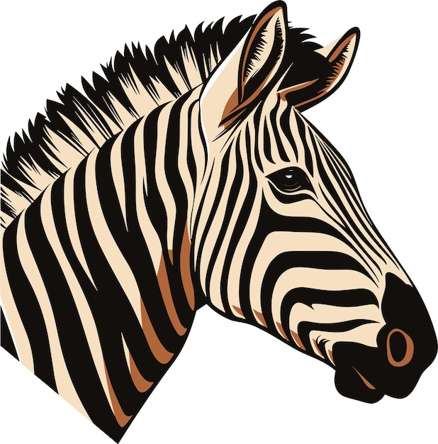 Zebra gestreept paard Afrikaanse savanne dierlijk beeldverhaal vectorillustratie
