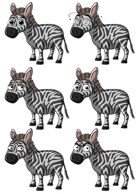 Vector zebra met verschillende uitdrukkingen