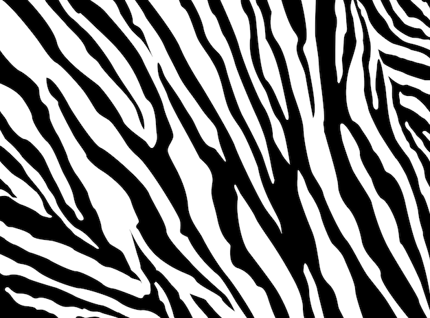 Vector zebra pattern vector. eps 10