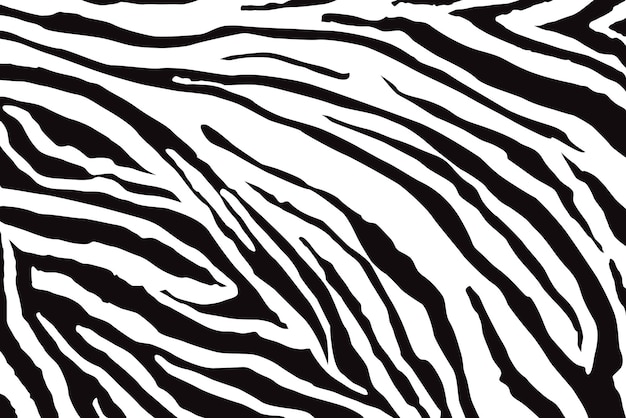 Zebra Pattern Vector