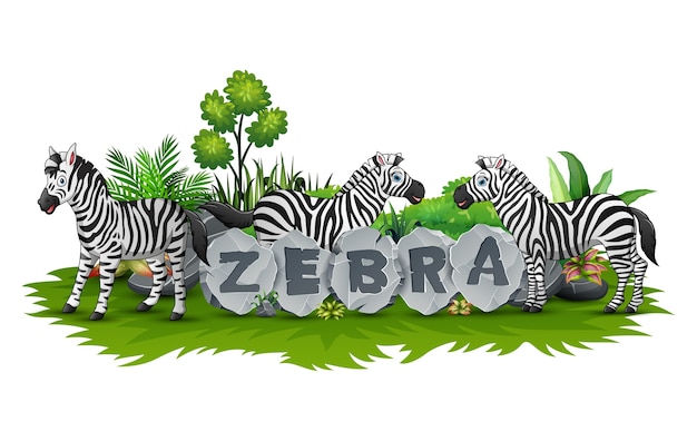 Зебра, играющая в саду