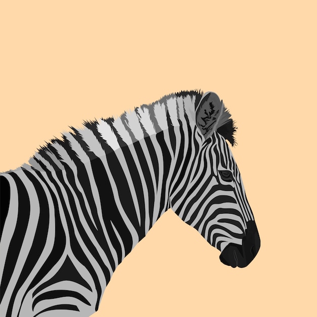 зебра полигональное искусство