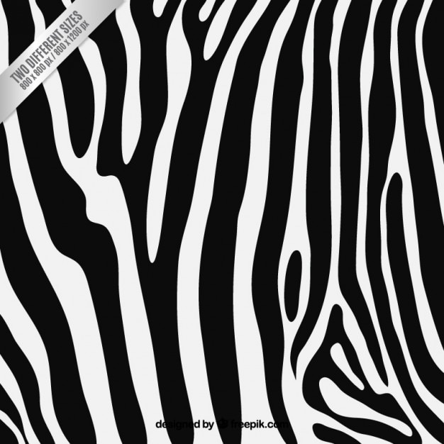Vector zebra print achtergrond