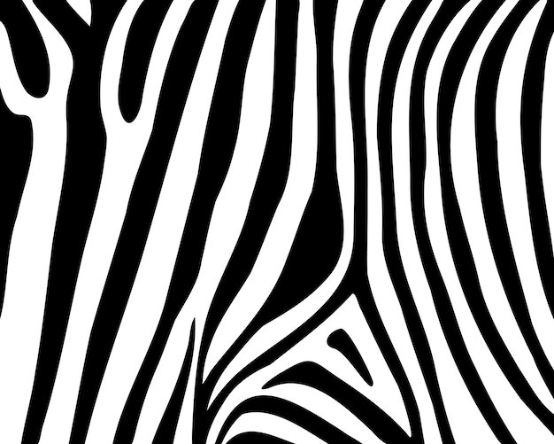 Zebra print dierenhuid tijger strepen abstract patroon lijn achtergrond stof Amazing hand getrokken vectorillustratie Poster banner zwart-wit zwart-wit