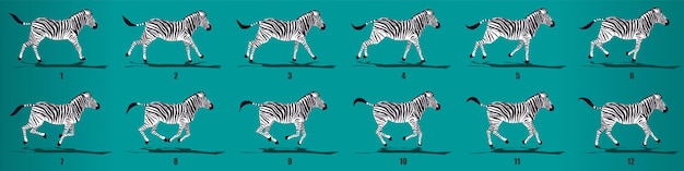 Vector zebra run cyclus animatie frames loop animatie reeks sprite sheet