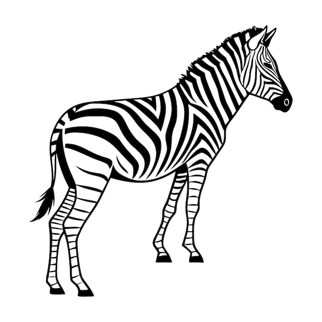 zebra silhouette vector on white background