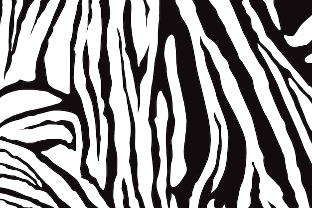 Vettore zebra stripes pattern vector