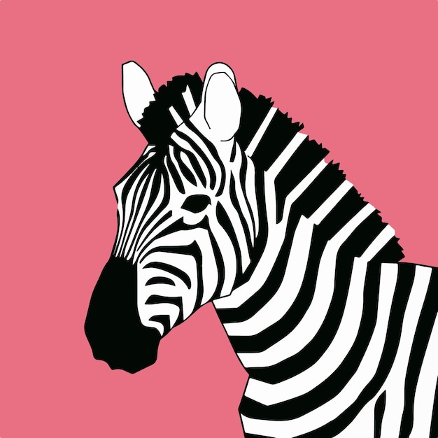 Vector zebra-vector