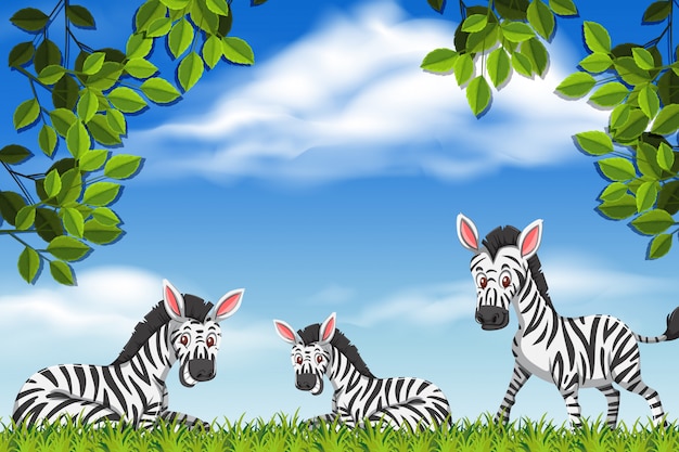 Vector zebras in nature scene