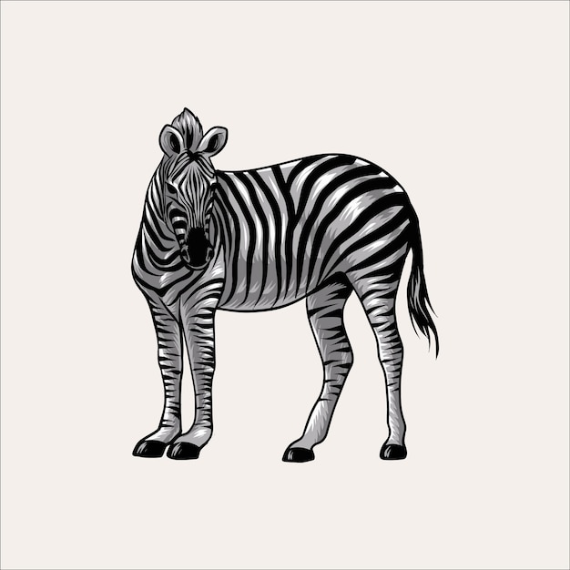 Vector zebras savannah