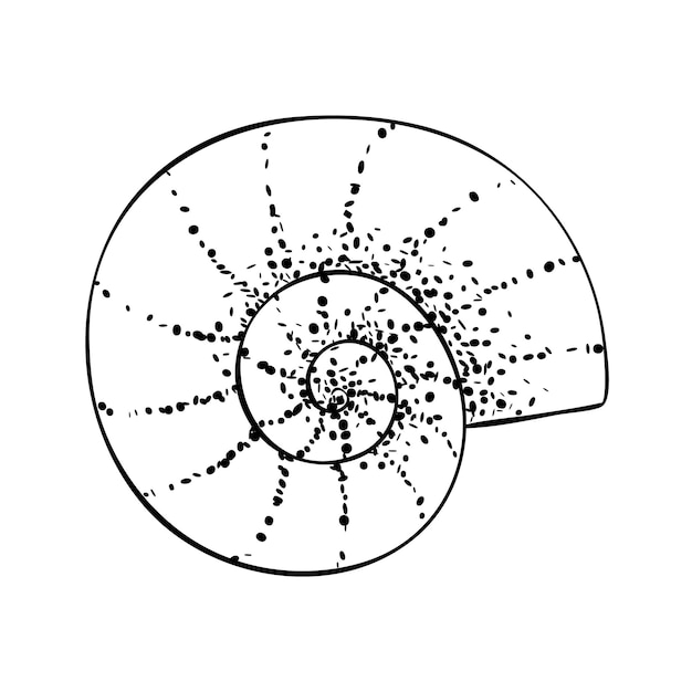 Vector zee nautilus shell zwarte schets met stippen textuur