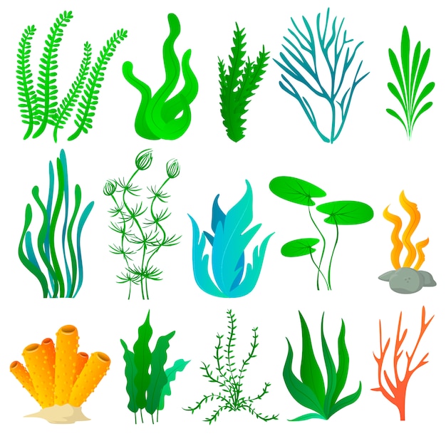 Vector zee planten en aquarium zeewier set