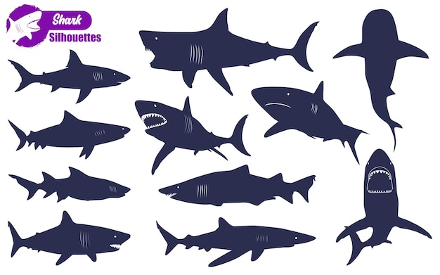 zeedier Haai silhouetten vectorillustratie