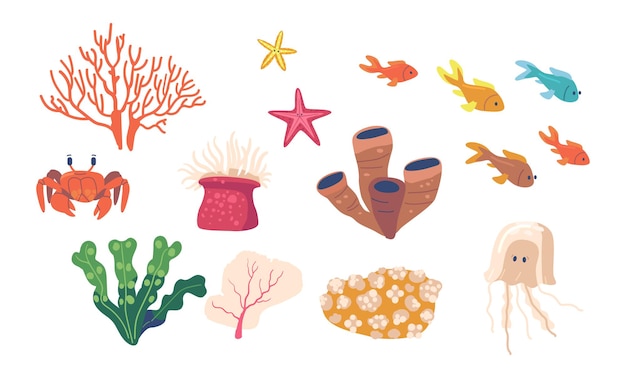 Zeedieren, Koraalrif Zeewieren Onderwaterplanten. Geïsoleerde zeester, kwallen, krab en school van vissen, aquarium, oceaan- en onderzeese algen, koralen en wrakken, mariene laminaria. Cartoon Vector Set