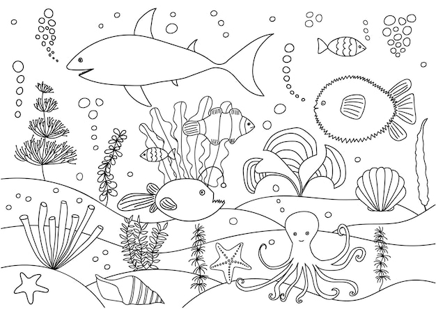 Zeeleven dieren kleurplaat Verschillende vector vissen kleurboek voor kinderen en volwassenen Zeeduivel anemoonvis zeester schelp octopus haai bal vis rifvissen zeewier zeegras