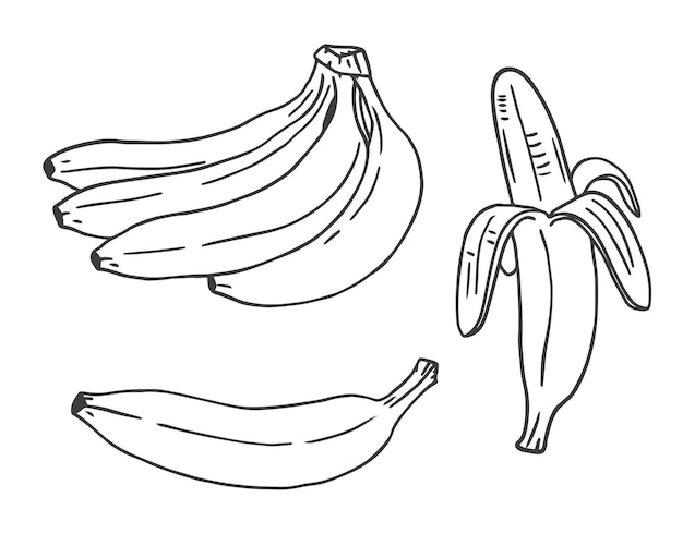 Zeer fijne tekeningen bananen set