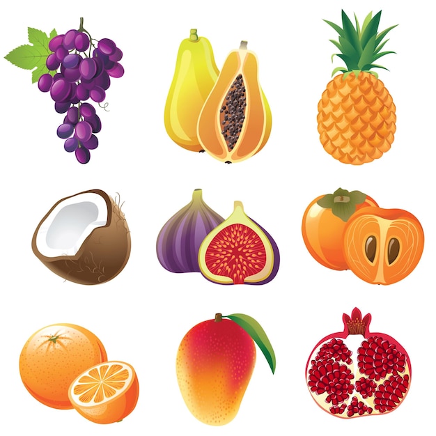 Zeer gedetailleerde vruchten iconen set