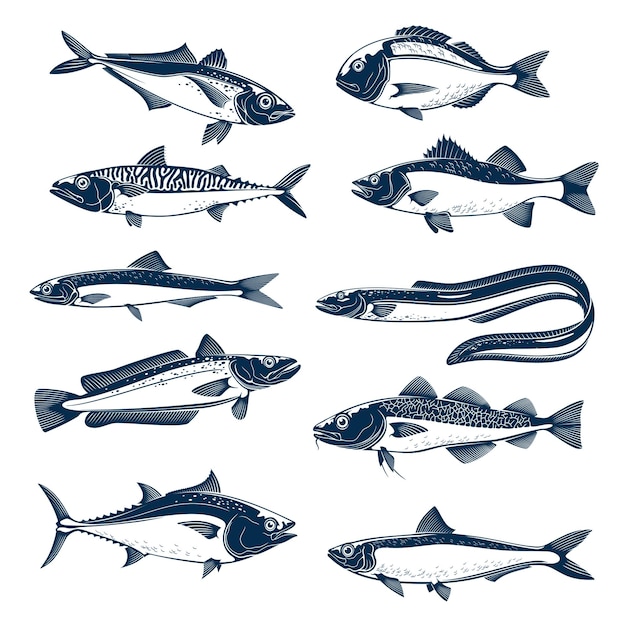 Zeevis icon set voor zeevruchten en vissen ontwerp