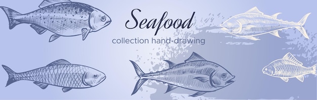 Zeevruchten horizontale banner zeevis reclame in de hand getekende stijl geïsoleerd op een witte achtergrond