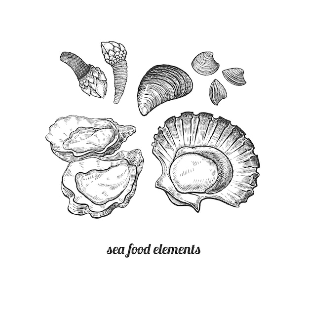 Zeevruchten. schaaldieren, mosselen, sint-jakobsschelpen, oesters, zeepokken.