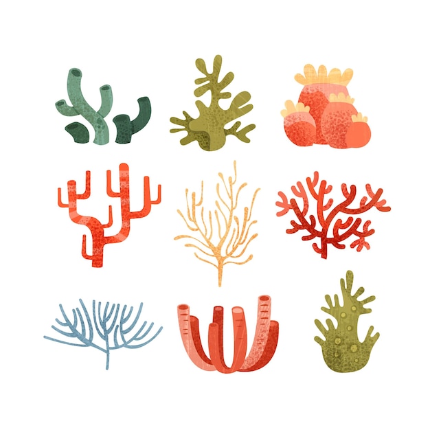 Zeewier set kleurrijke onderwater mariene planten vector illustraties geïsoleerd op een witte achtergrond