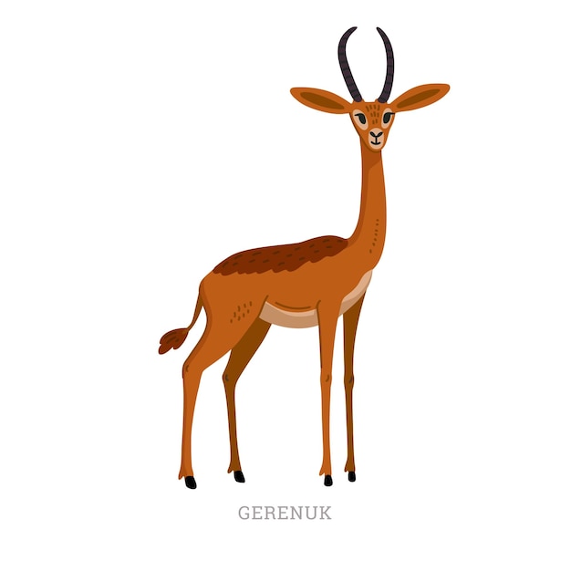 Vector zeldzame dieren collectie gerenuk litocranius walleri afrikaanse longnecked antilope of giraffe gazelle