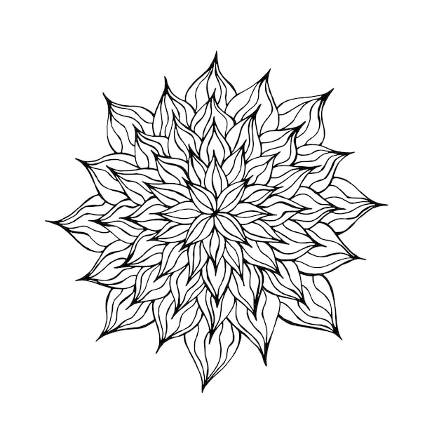 Zentangle fiore bianco e nero