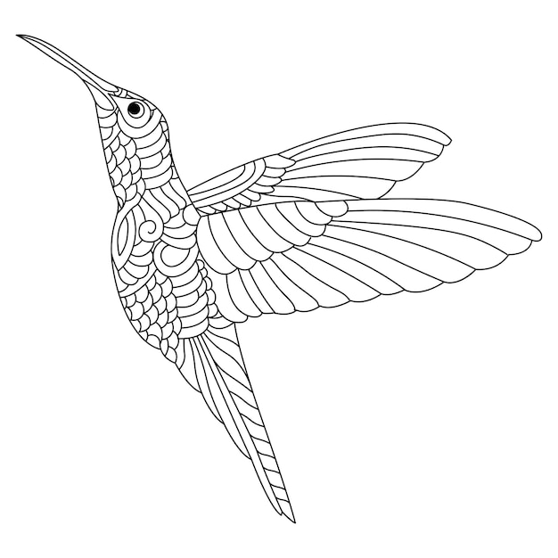 Zentanglestyle hummingbird black and white line art adult coloring book pages