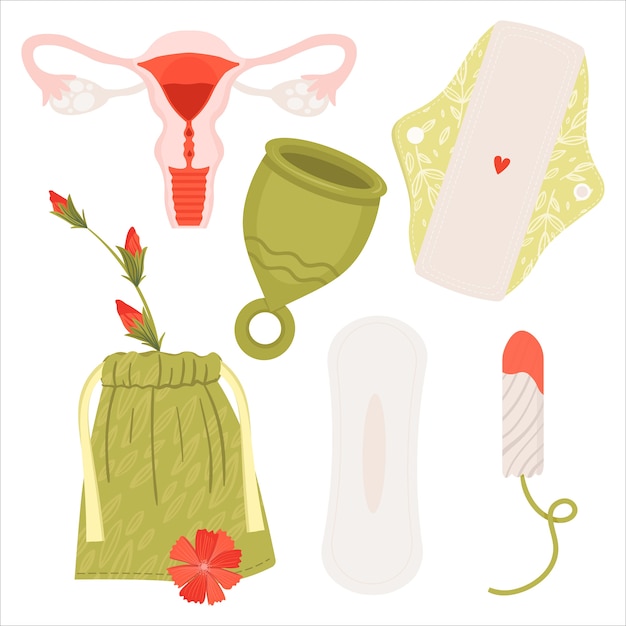 벡터 제로 낭비 생리 기간. 여성 자궁 기관. 친환경 제품이 포함 된 평면 세트-재사용 가능한 생리대, 컵, 재활용 면봉.