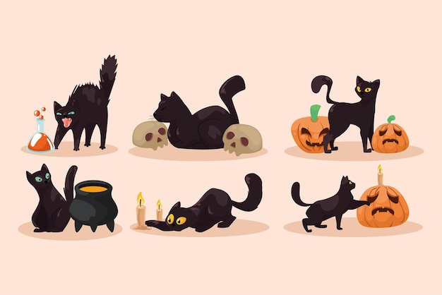 Zes halloween kattenmascottes