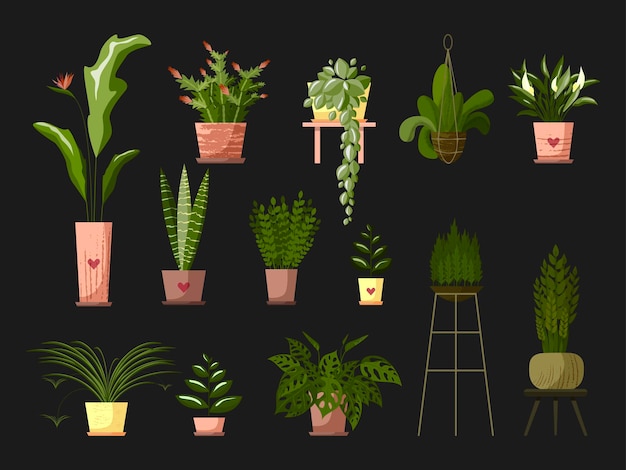Zet kamerplanten en huisbloemen in potten en macramé hanger op donkere achtergrond Vlakke stijl vector Hygge gezellig interieur
