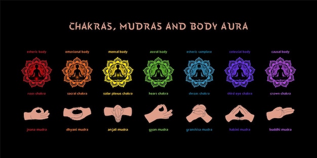 Zeven chakra's aura lagen en mudra's Infografiek voor spirituele praktijken Vector illustratie op zwarte achtergrond