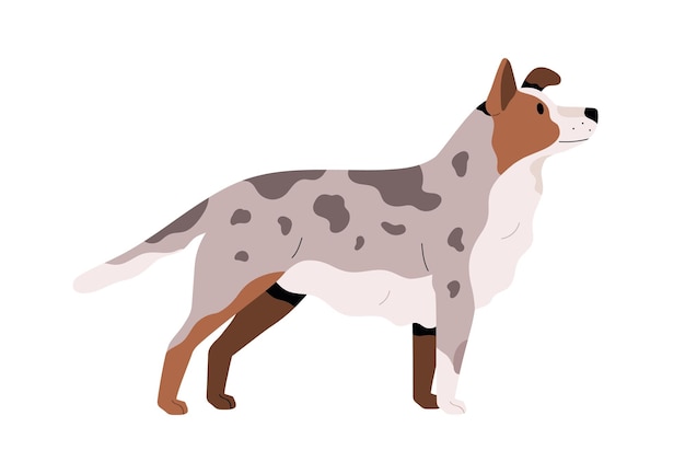 Zijaanzicht van schattige volwassen hond. Mooi hondje met vlekkerige vacht. Hondsdier met trouwe uitstraling. Platte vectorillustratie van realistische huisdier profiel geïsoleerd op een witte achtergrond.