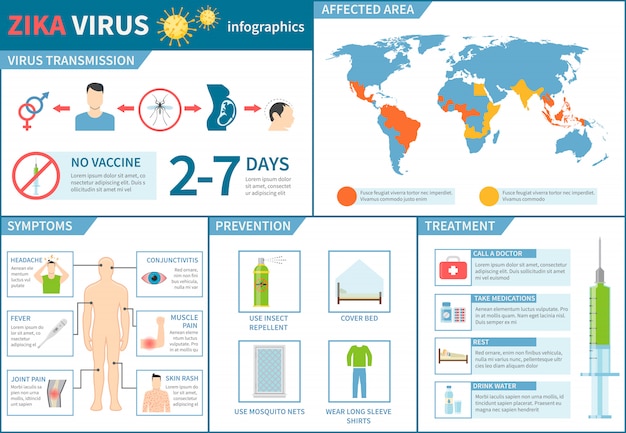 벡터 zika 바이러스 infographic 세트