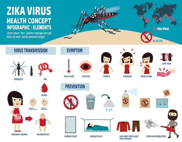 Vector zika virus infographic vectorillustratie